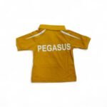 pe_yellow1